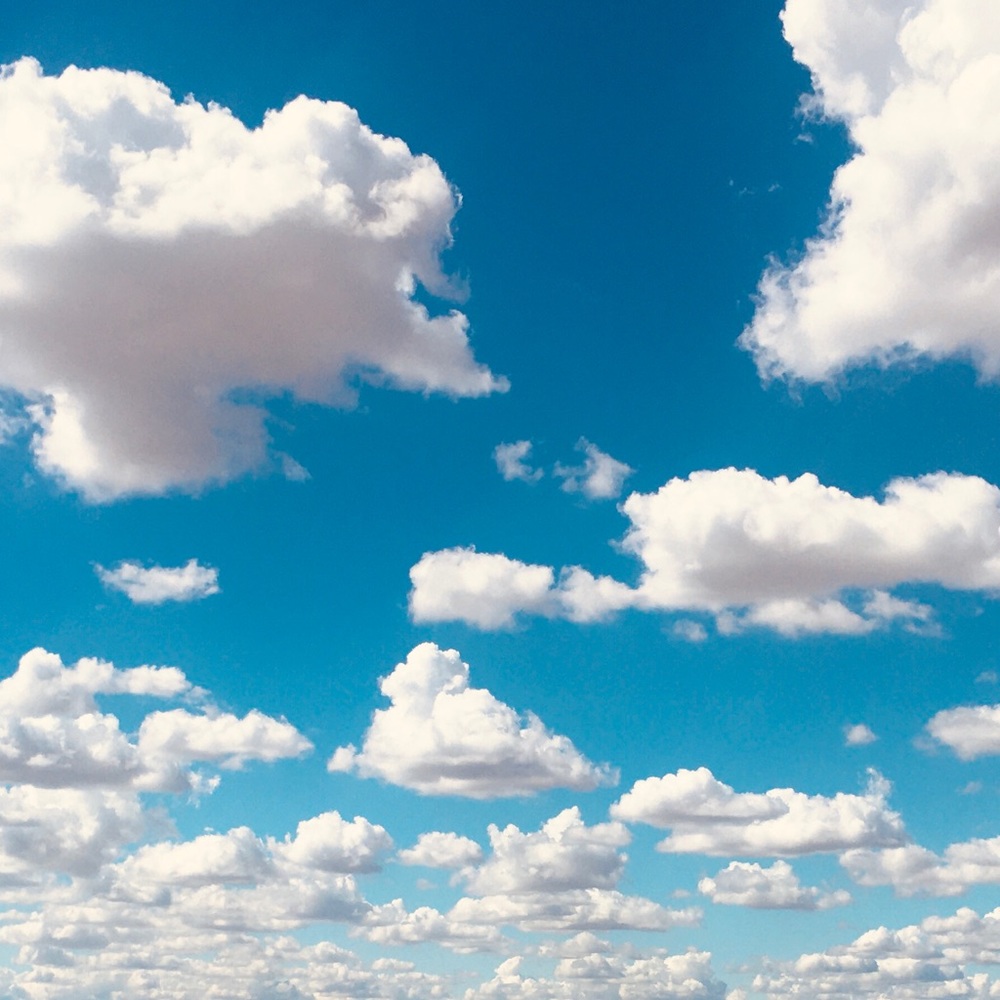 Meet your Posher, Sophia